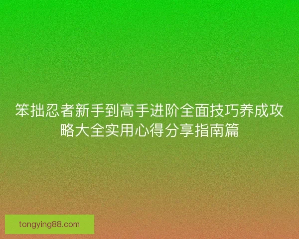 笨拙忍者新手到高手进阶全面技巧养成攻略大全实用心得分享指南篇