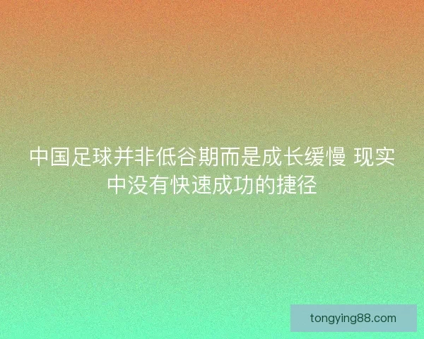 中国足球并非低谷期而是成长缓慢 现实中没有快速成功的捷径